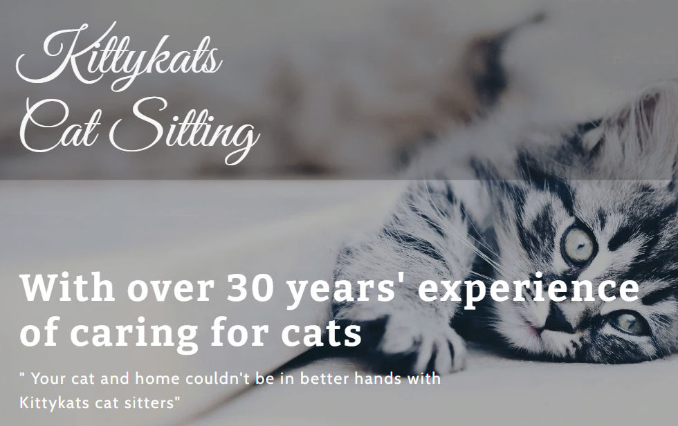 Kittykats header wix.jpg