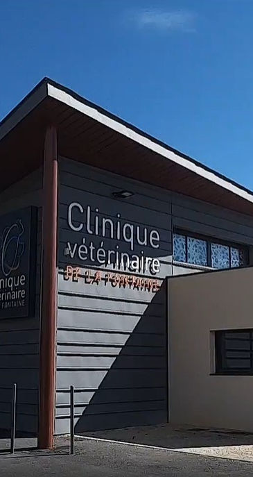 Clinique vétérinaire de la Fontaine Clinique vétérinaire de la Fontaine