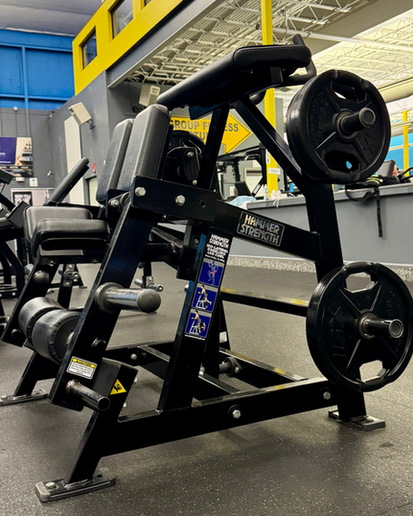 Why Are There So Many Hamstring Curl Machines?