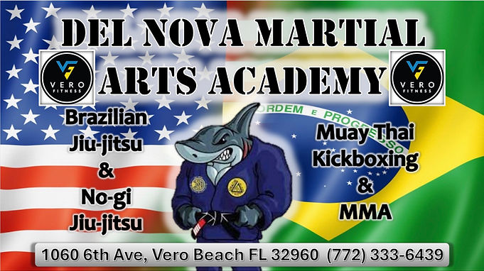 Del Nova Martial Arts Academy Flyer