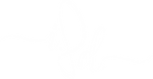 White IBD Icon_3x.png