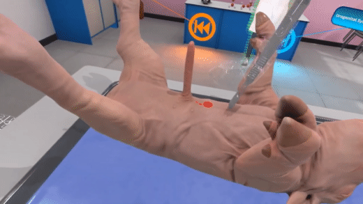 VictoryXR_and_Carolina_Biological's_Virt