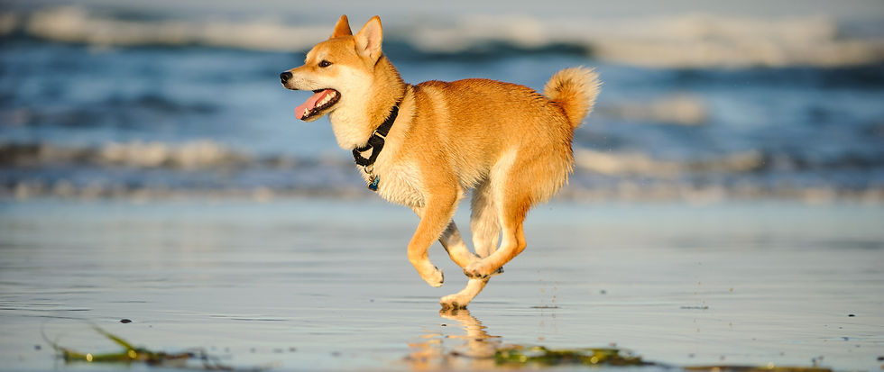 AdobeStock_165940089.jpeg