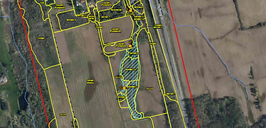 Garner Marsh ELC.jpg