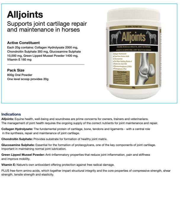 Thumbnail: ALLJOINTS 800gm Info (Pg1)