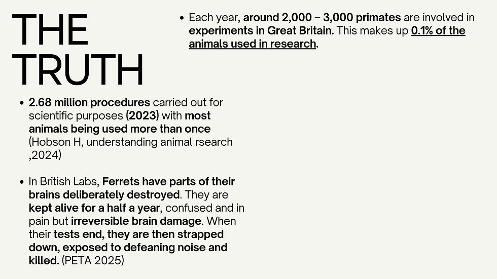 The Reality Behind Animal Testing