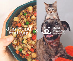 Just Food For Dogs x Best Friends Partnership