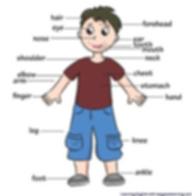 body.jpeg