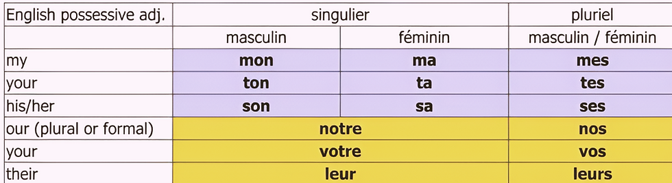 French possessive adjectives mon ma mes ton ta son sa explained