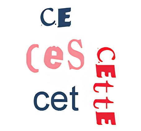 French demonstrative adjectives ce cet cette ces explained