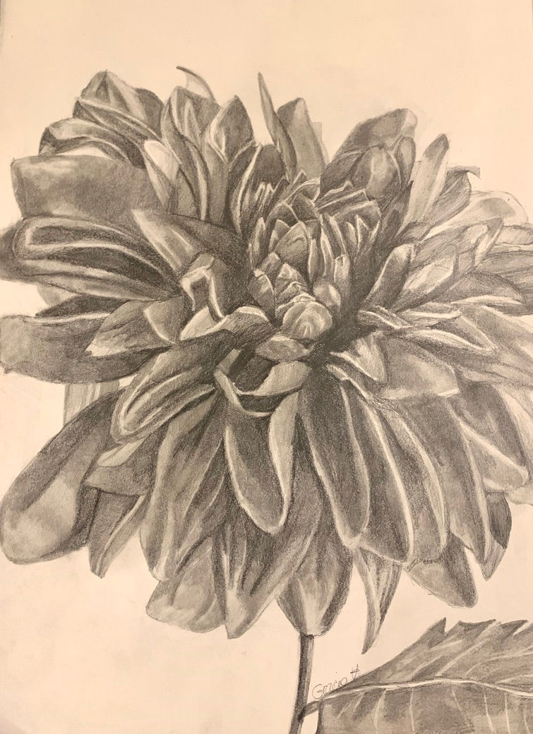 "Dahlia"
16x20
Graphite Pencil on Drawing Paper
2021