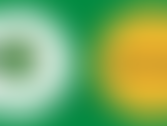 Black Sustainability & DoinGud partner to empower the African continent and diaspora