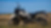 _2530258.jpg
