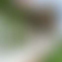 KŐTELEKEN KÜLÖNLEGES, NÁDFEDELES BIRTOK ELADÓ            Ár: 349 M Ft