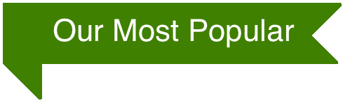 Most Popular Option