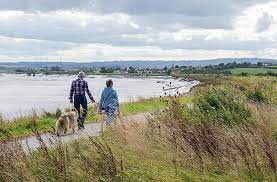  An accessible path at Steart Marshes Nature Reserve, Somerset