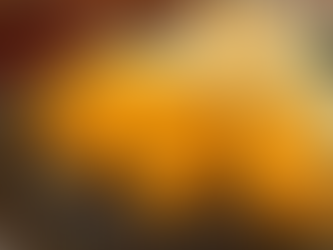 旬のカキフライ