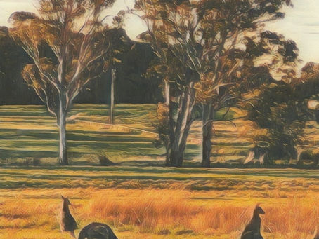 Strategic Plan 2025-2030