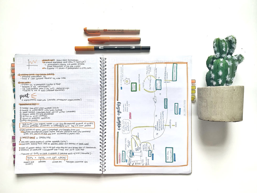 Topic 4 - Ecology Syllabus Notes