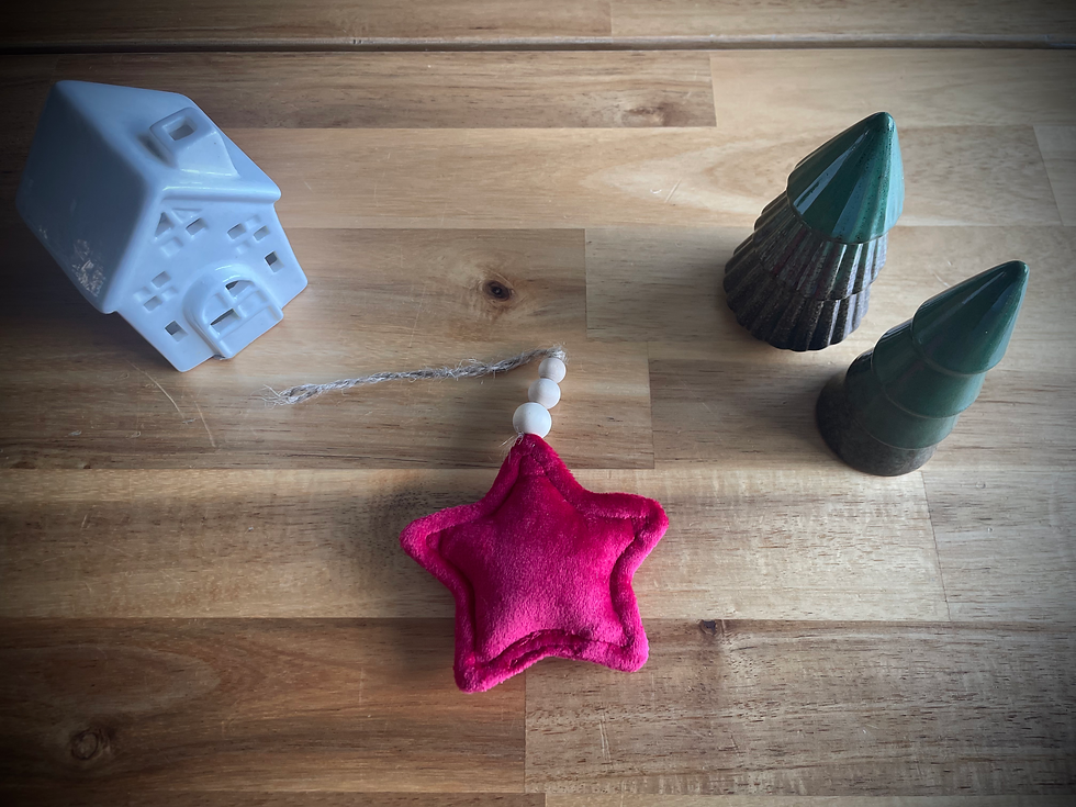 Miniature : Étoile de Noël en velours 