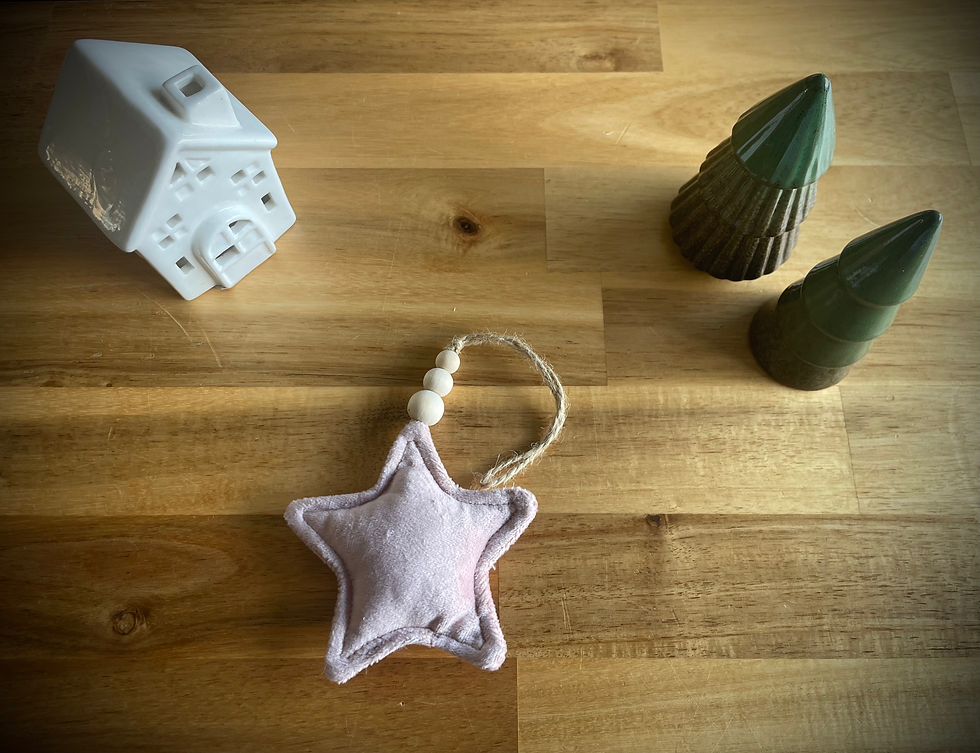 Miniature : Étoile de Noël en velours 