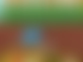 Building Your garden Exercise 