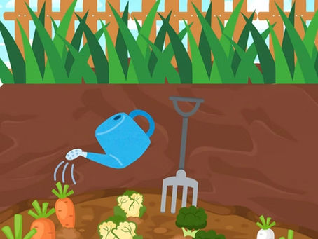 Building Your garden Exercise 