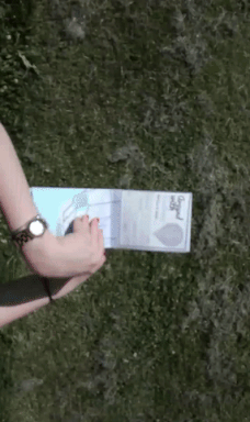 2.gif