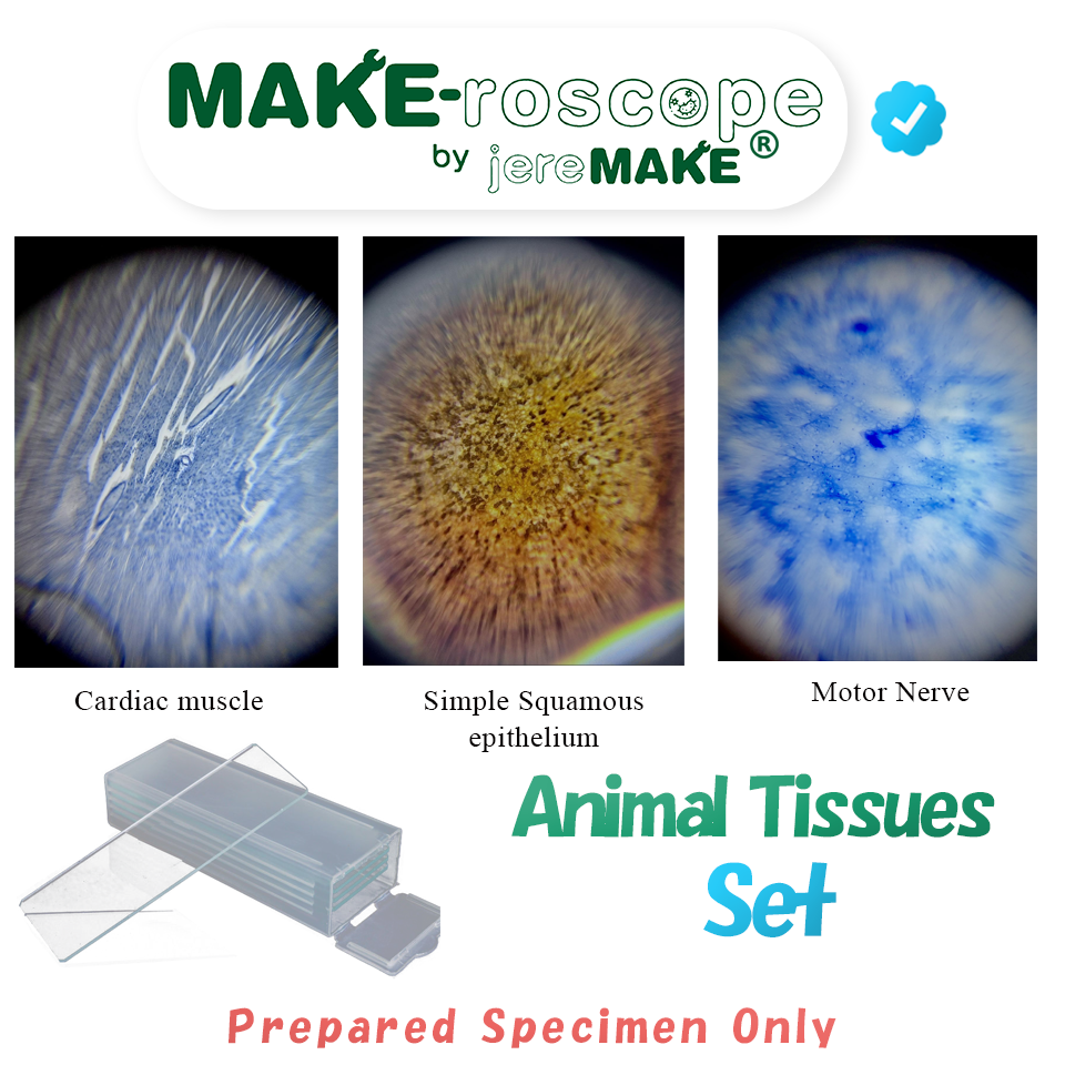 Thumbnail: Prepared Slides