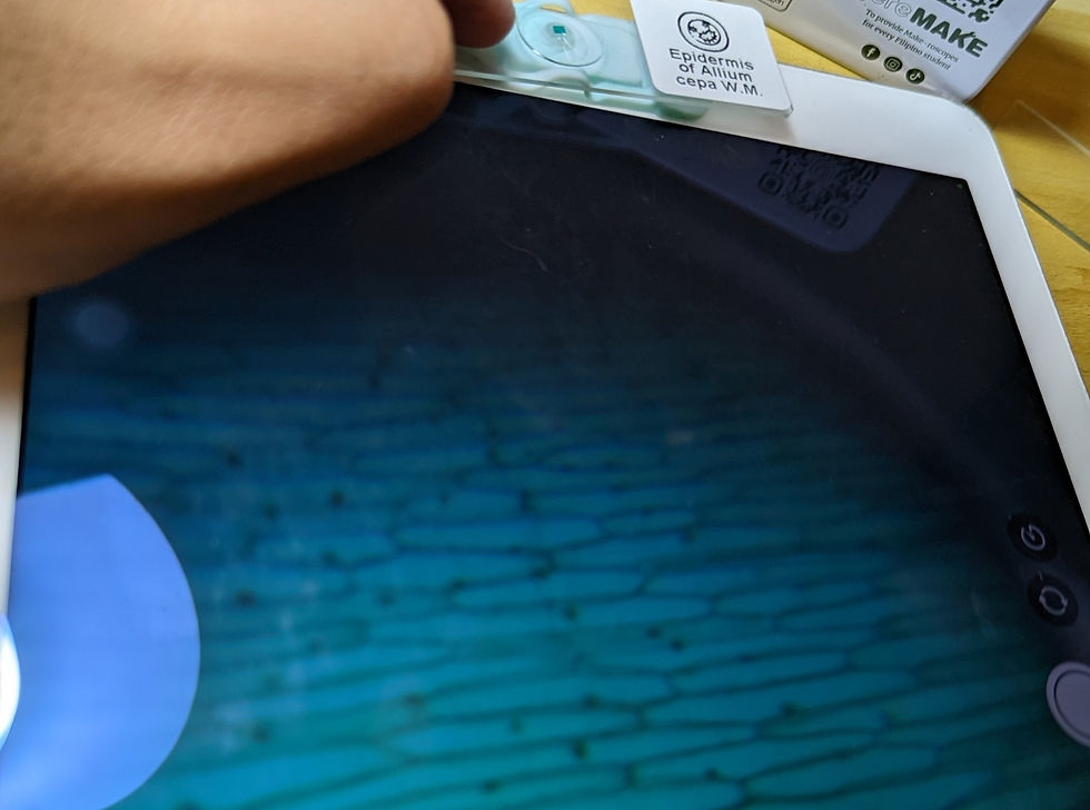 Thumbnail: Make-roscope Lab Kit - Int'l