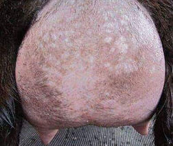 AGS Popa Johns Sweet Jasmine rear udder