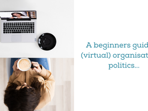 A beginners guide to (virtual) organisational politics