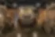 rustic pulask.jpg