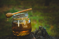 AdobeStock_221666132.jpeg
