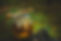 AdobeStock_221666132.jpeg
