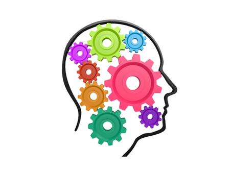 COMPETÈNCIA Y ECOSISTEMAS