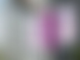 Evonik Entrega Resultados Robustos em Conjuntura Difícil