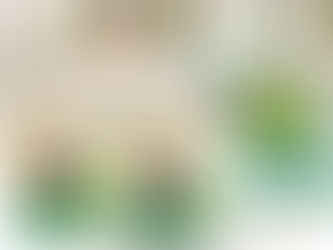 Index ABC Realiza Palestra na FELASCC