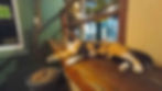 A photo of Manchas, the hotel’s resident cat, lounging on a wooden bar.