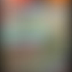 Championnat de France des Rallyes tout-terrain "Terres du Gâtinais"