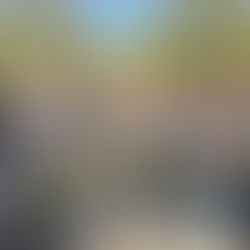 Succès pour la 29ᵉ édition de Parcs et Jardins à Villemandeur