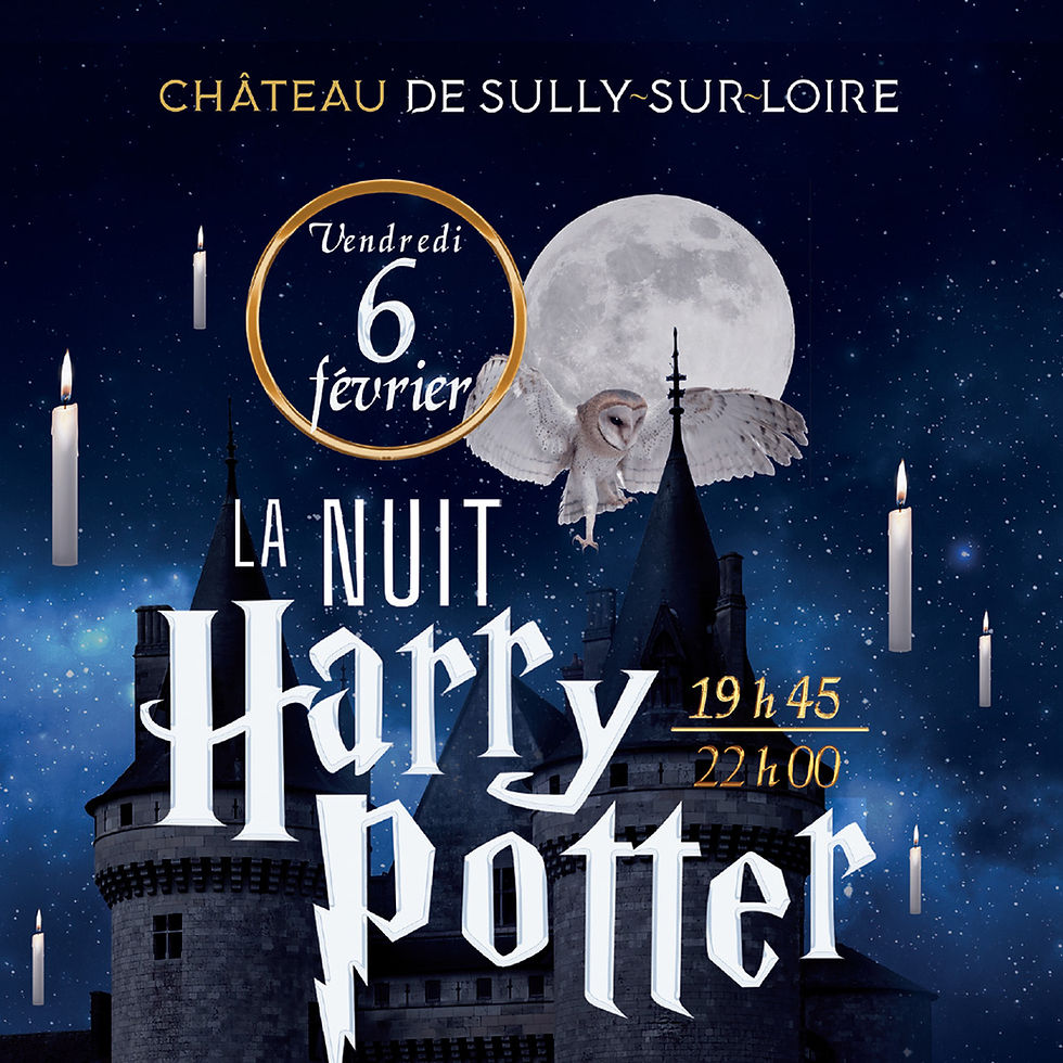  ALERTE SORCELLERIE AU CHÂTEAU DE SULLY !