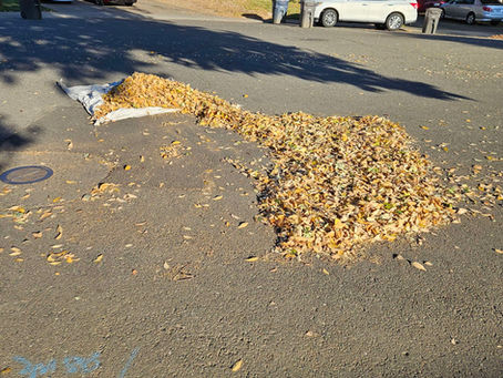 Don't forget to clean up your leaves!