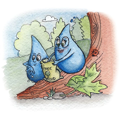 Loraine feeding the trees