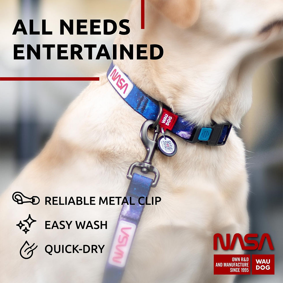 Thumbnail: Nylon Dog Leash for Medium and Large Dogs 4 Ft x 1 Wide NASA Design Heavy Duty