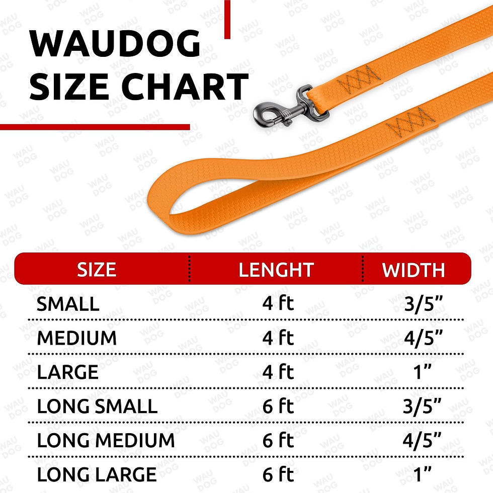 Thumbnail: Orange Waterproof Dog Leash 6 Ft x 3/5 in Anti Slip Dirt Resistant Heavy Duty