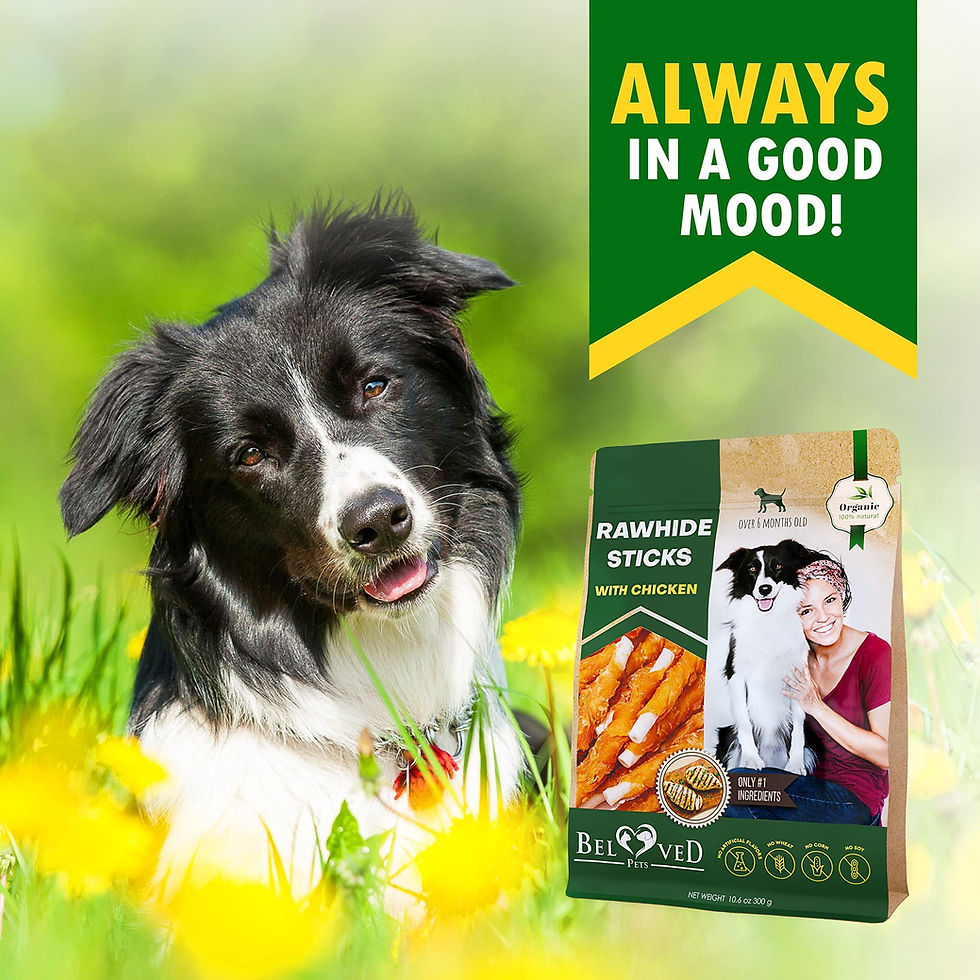 Thumbnail: Dog Rawhide Sticks Wrapped with Chicken Pet Natural Chew Treats Grain Free Snack