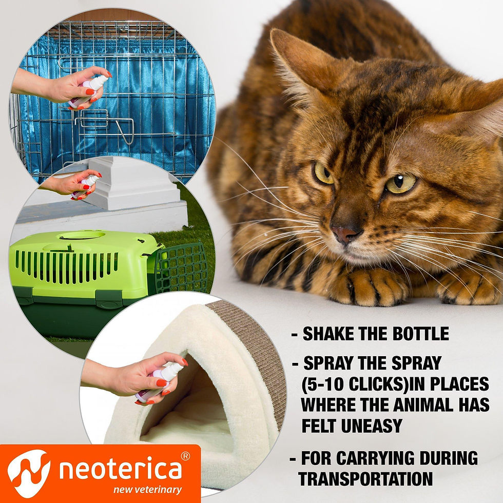 Thumbnail: Calming Pheromone Spray Scratch Repellent for Cats Reduce Stress During Travel