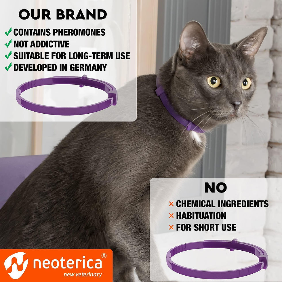 Thumbnail: Cat Calming Collar Pet Anti Anxiety Products Feline Calm Pheromones Collars 1 Pc