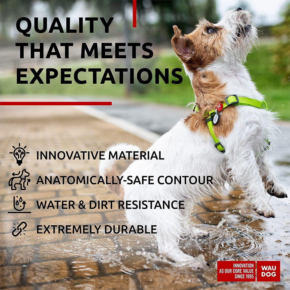 Thumbnail: Green Waterproof Dog Harness Adjustable for Small Dogs S Size 1622 inch